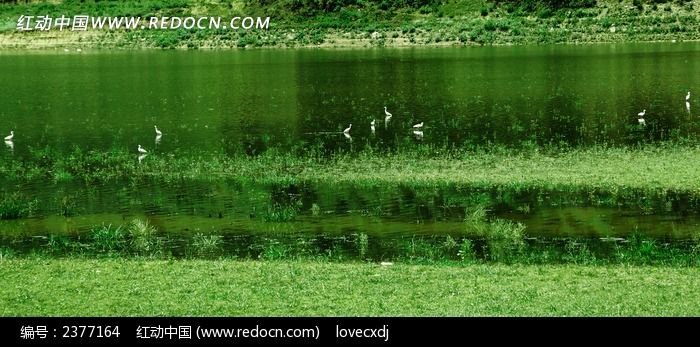 ����ʪ�صİ�������ͼƬ