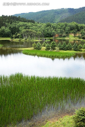 ʪ������