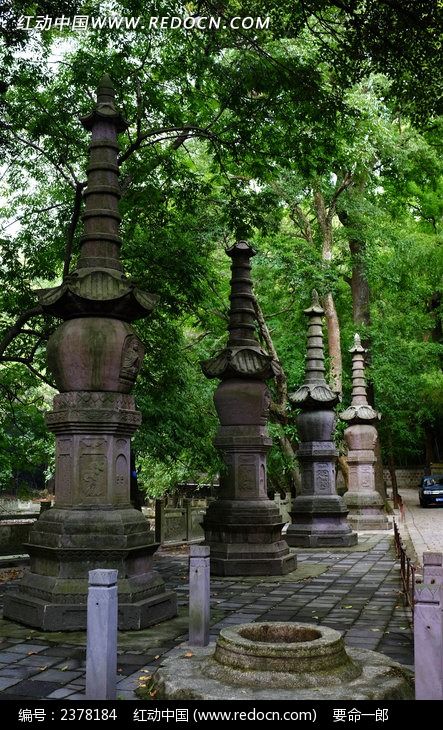 ������ͯ������ͼƬ