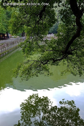 ������Ӱ