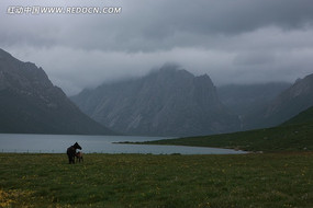 ���ƺ���