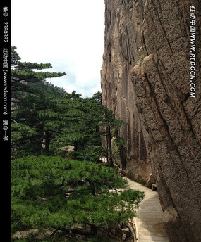 ��ɽ������Ͽ���յ�