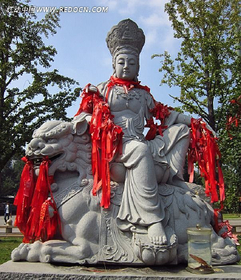 ����ʨ��