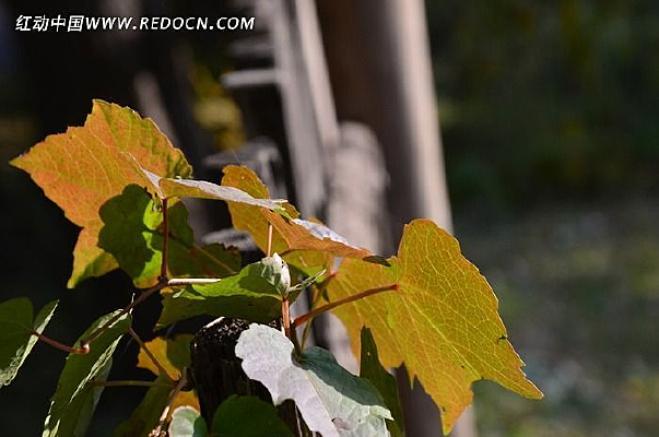 ���յ�����