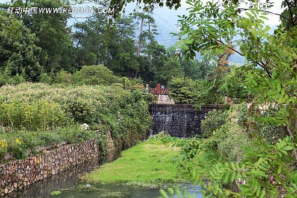 ��ͯɭ�ֹ�԰