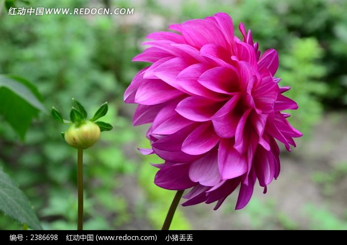 ���޵ķ�ɫ������ͼƬ