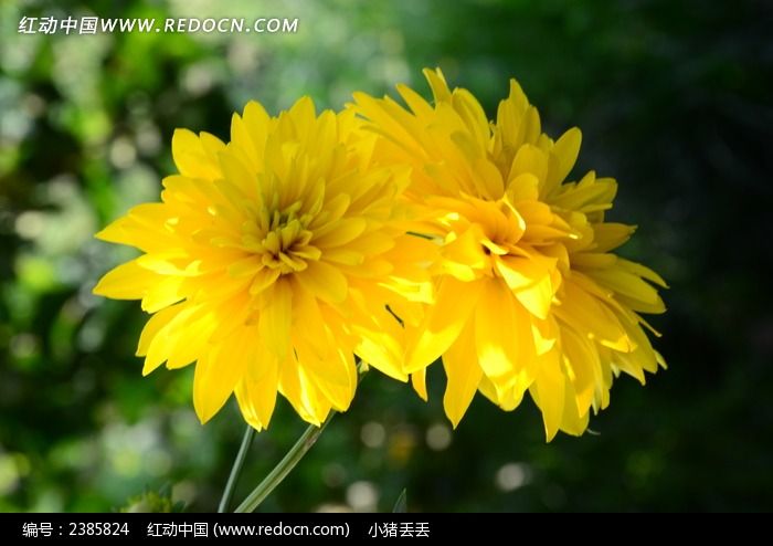 �����ޱȵĴ�����ͼƬ