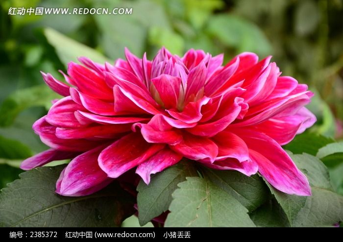 �ʺ�Ĵ�����ͼƬ