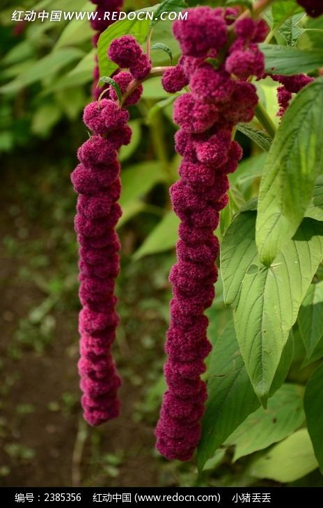 ���޵���ɫ����ͼƬ