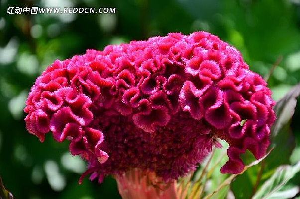 �����µļ��ڻ�