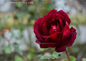 Ư�����¼���