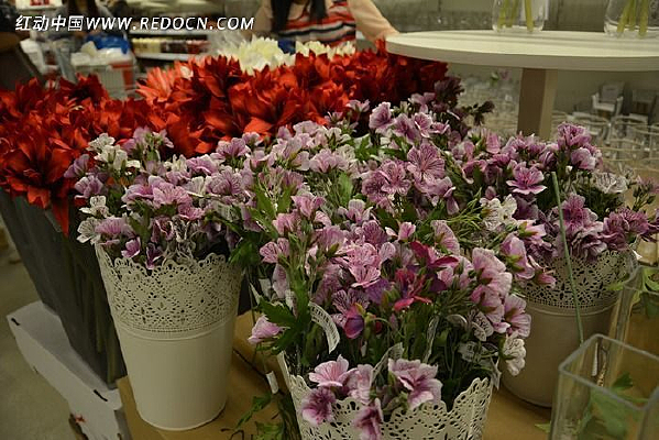 �������ٻ�