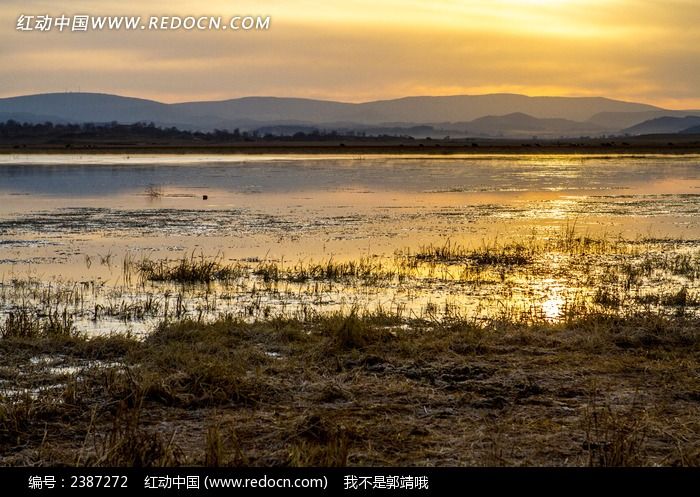 �������Ӻ����ճ�ͼƬ