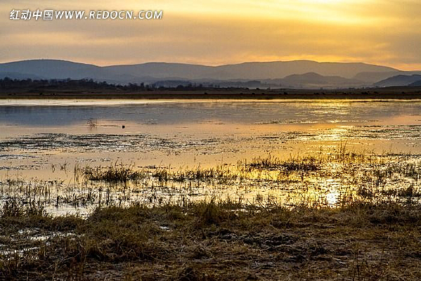 �����ճ�