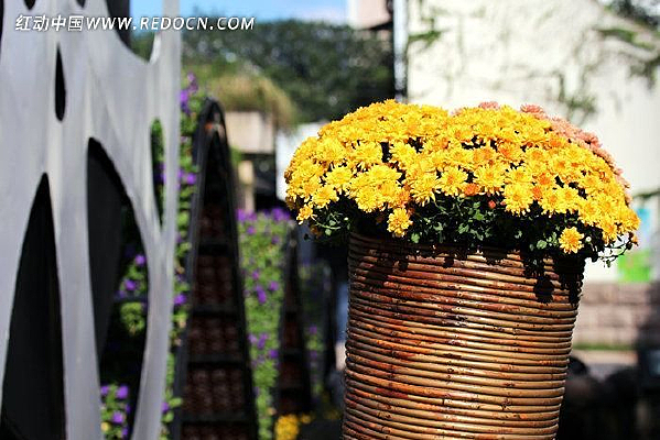 ����С�ƻ�