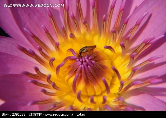 ����������дͼƬ