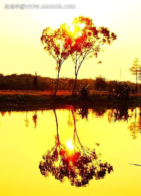 ����С��