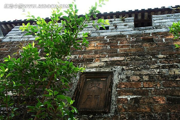 ������ֲ��