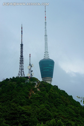 ���ڵ�����