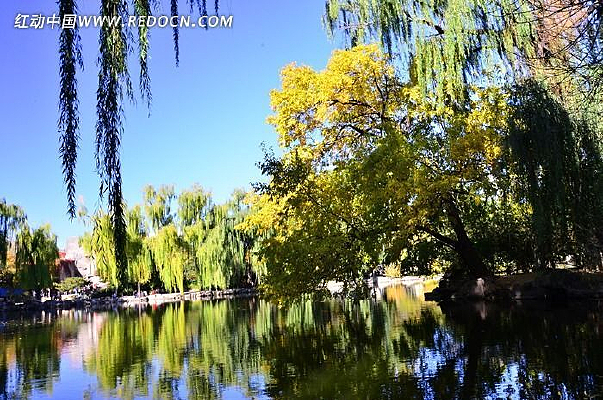 ������Ӱ