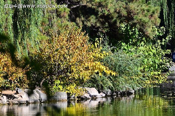 ������Ӱ