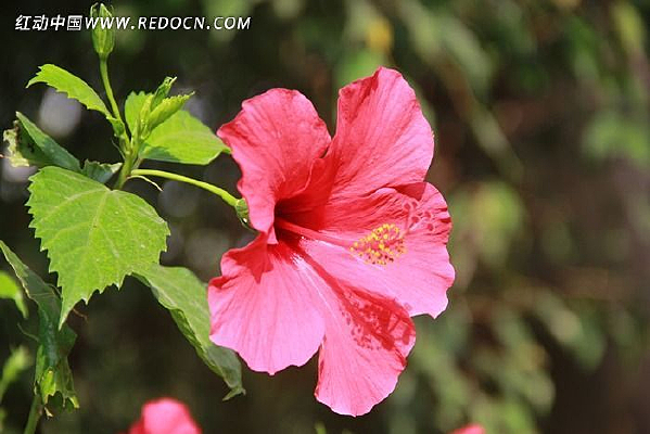 ����ĵ��