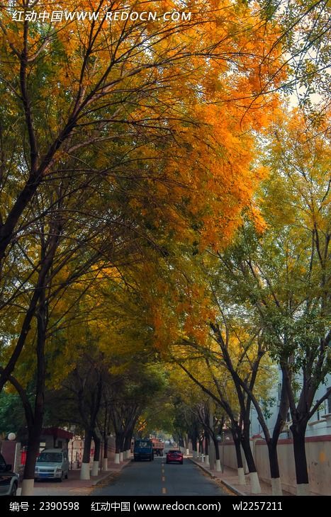 �����·���Եķ羰��ͼƬ