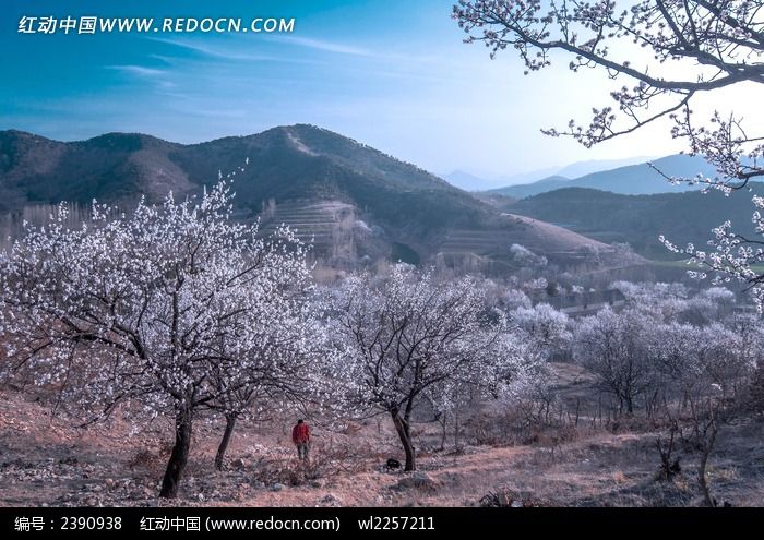 ʢ�����ӻ���ͼƬ