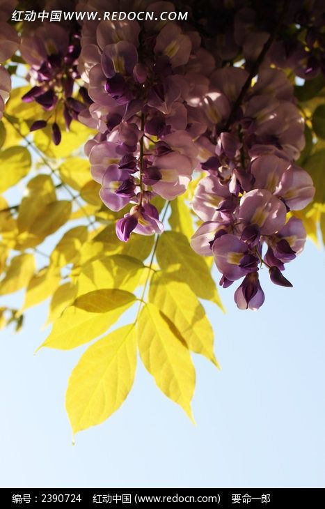 ����ͼƬͼƬ