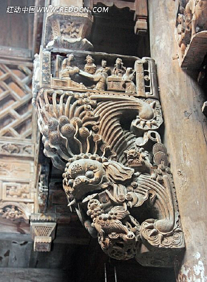 ����ţ��