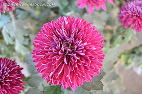 ˮ��Ĵ�����