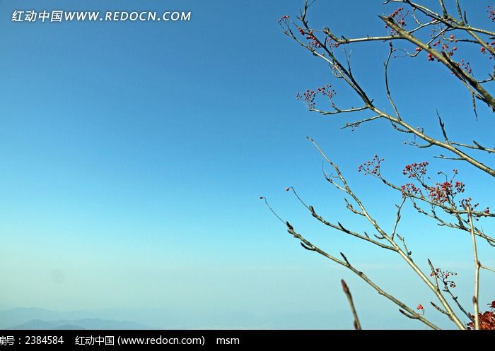 ��ɽ�ϵĺ��ʵͼƬ