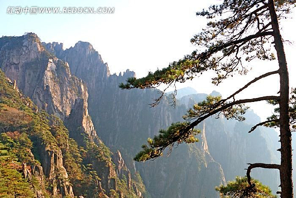 �ƻ�����