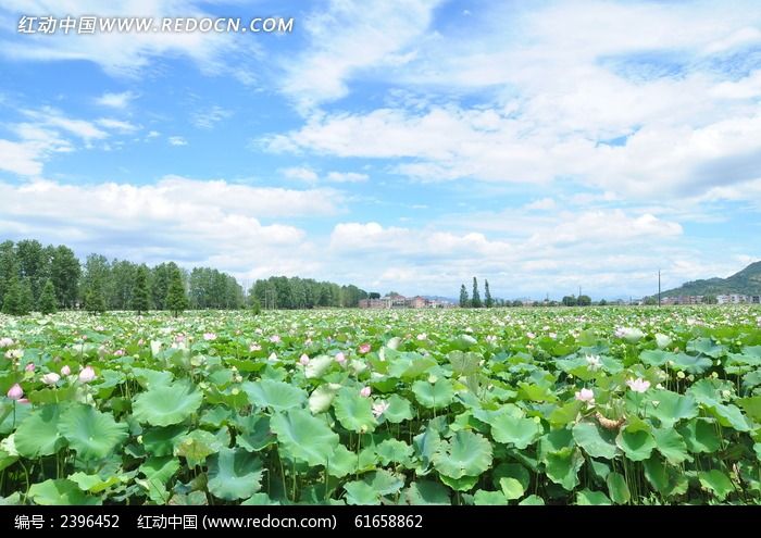 �����µĺ���ͼƬ