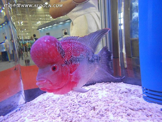 �����ȴ���