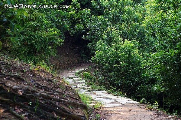 ����С��