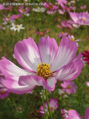 Ϧ�� ����