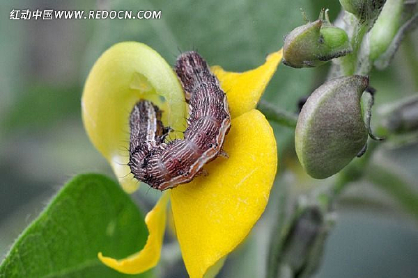 Ұ���ϵ�ëë��