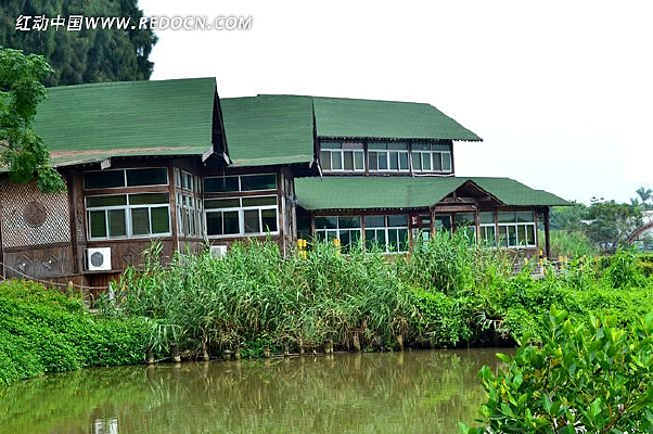 ����ľ��