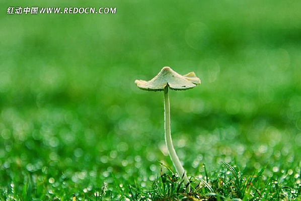 �ݵ���¶��