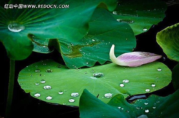 �����ˮ��