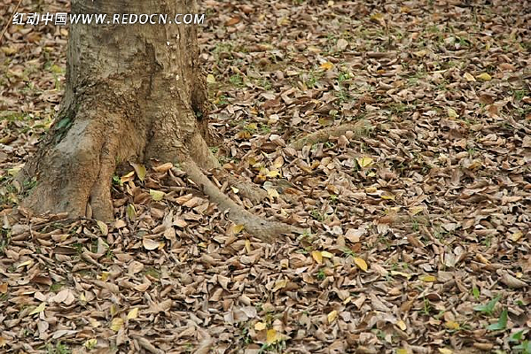 ������ɳ