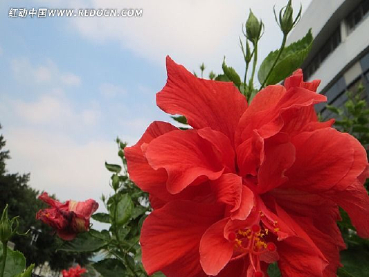 ʢ��������