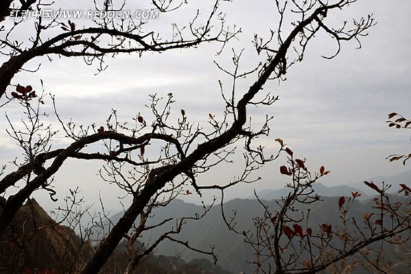 �������֦