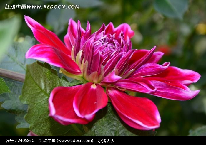 ���޵Ĵ�������ͼƬ