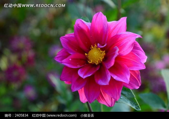 �����Ĵ�����ͼƬ