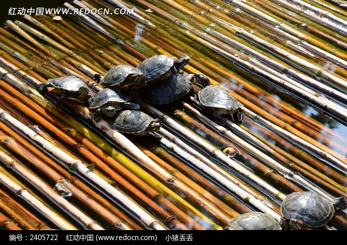 ���������ϵ�С��ͼƬ