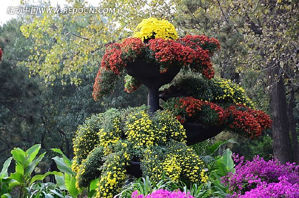 С�ջ����ۻ���