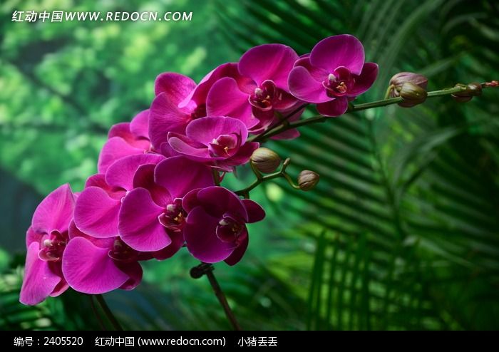 һ�������ĺ�����ͼƬ