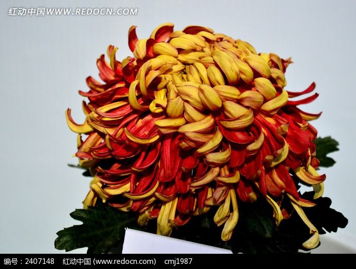 ʢ������ɽ����ͼƬ